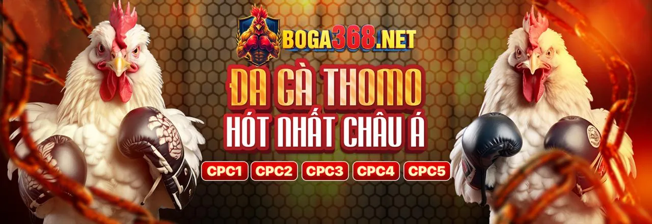 Cấp phép hợp pháp